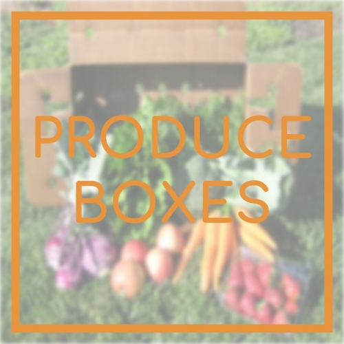 Produce Boxes