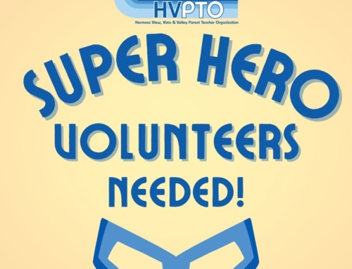 Surf Report for November 9, 2025