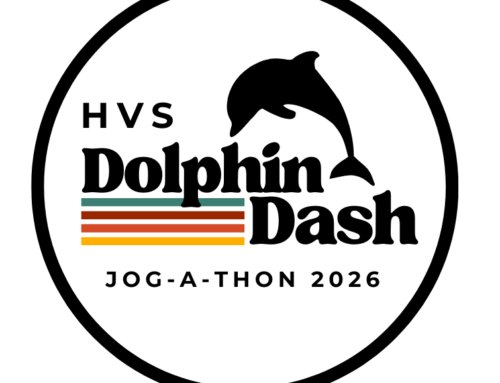 Surf Report for February 16, 2026