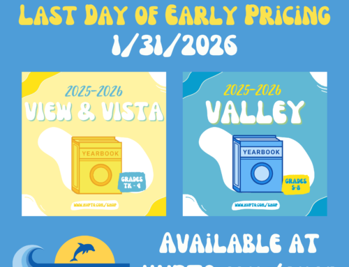 Surf Report for January 25, 2026